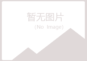 南城县夏岚会计有限公司